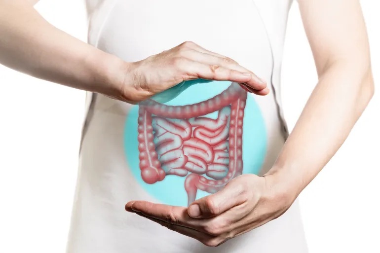 ما هي متلازمة الأمعاء القصيرة؟ | شبكة يافا الإخبارية